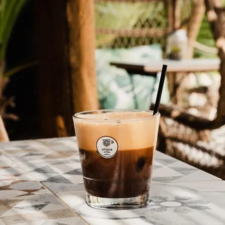 Lantiana Napa 圣纳帕